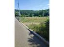 Teren de vânzare – 2.900 mp, zonă liniștită, aproape de natură